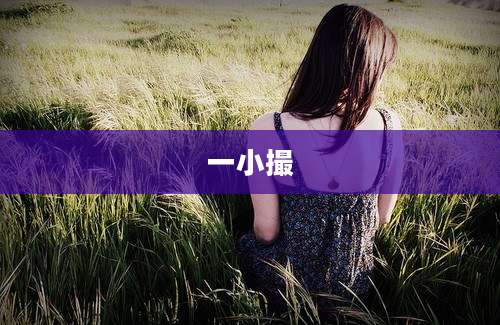 一小撮