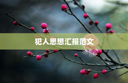 犯人思想汇报范文