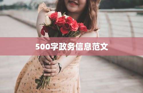 500字政务信息范文