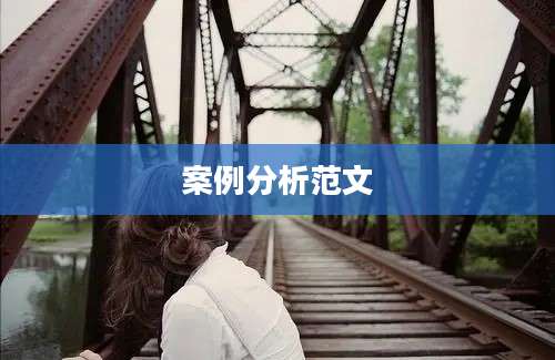 案例分析范文