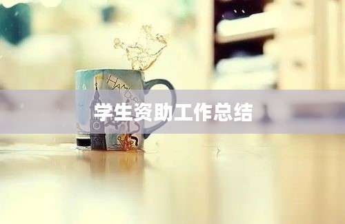 学生资助工作总结