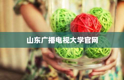 山东广播电视大学官网