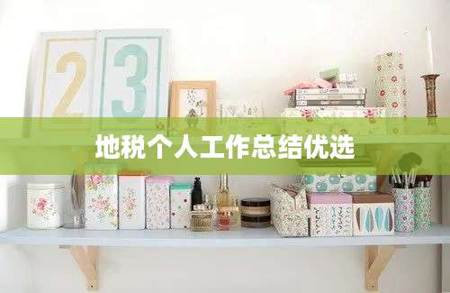 地税个人工作总结优选