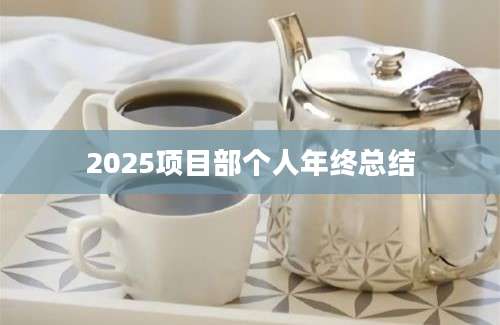 2025项目部个人年终总结