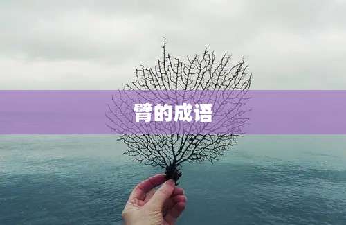 臂的成语