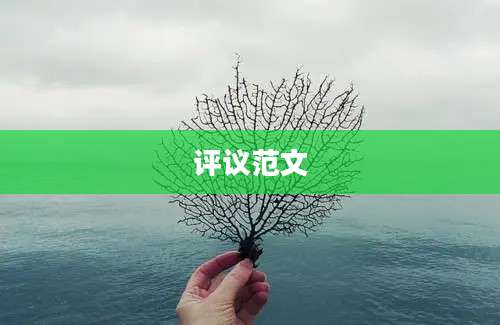 评议范文