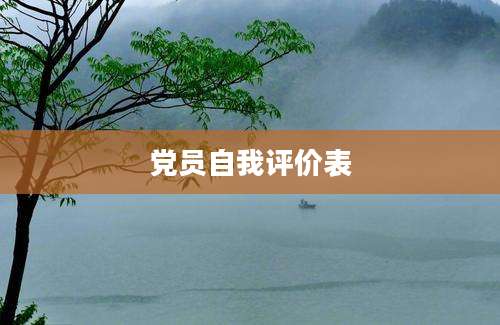 党员自我评价表