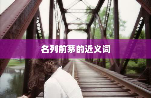 名列前茅的近义词