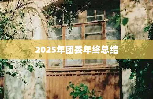 2025年团委年终总结