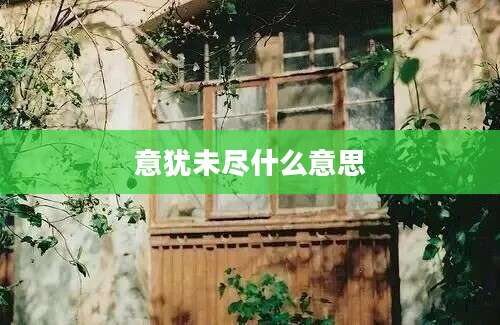意犹未尽什么意思