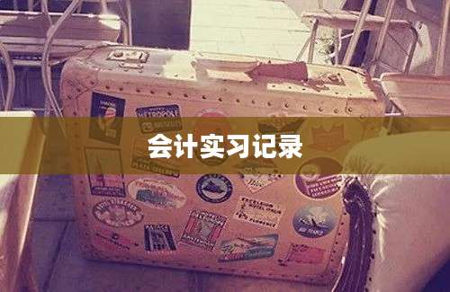 会计实习记录