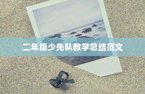二年级少先队教学总结范文
