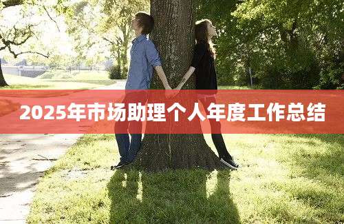 2025年市场助理个人年度工作总结