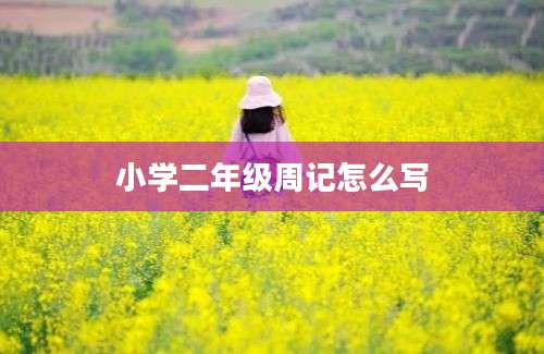 小学二年级周记怎么写