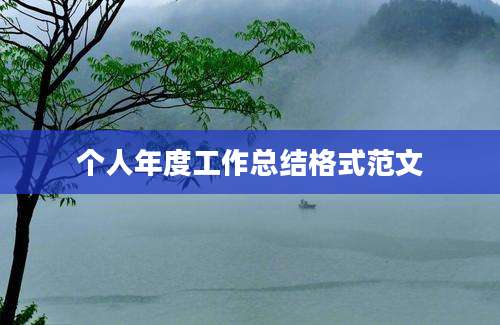 个人年度工作总结格式范文