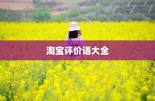 淘宝评价语大全