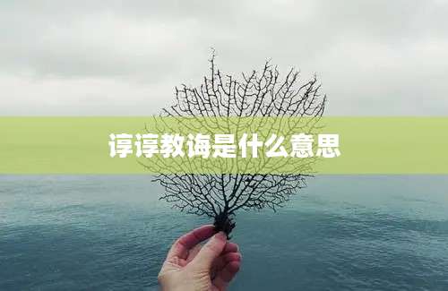 谆谆教诲是什么意思