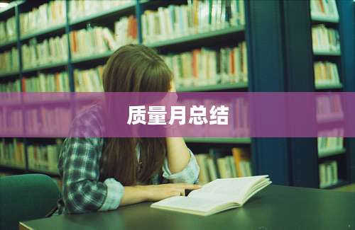 质量月总结