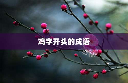 鸡字开头的成语