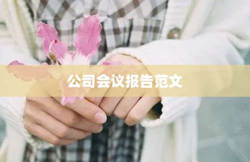 公司会议报告范文