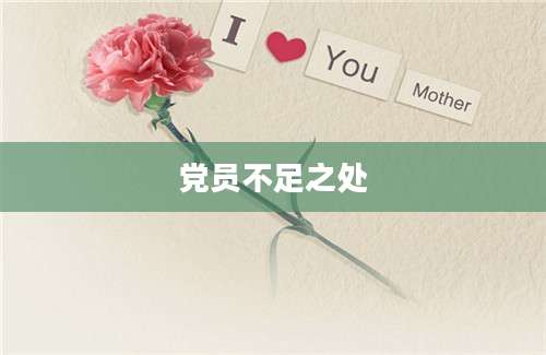党员不足之处