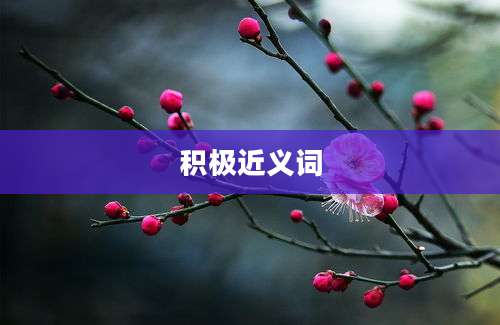 积极近义词