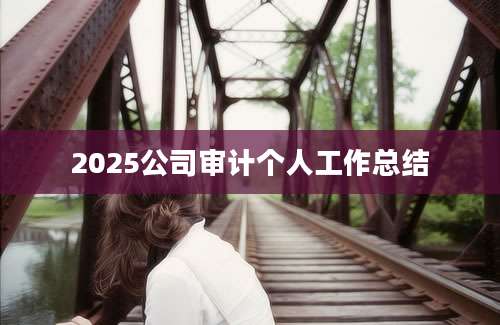 2025公司审计个人工作总结
