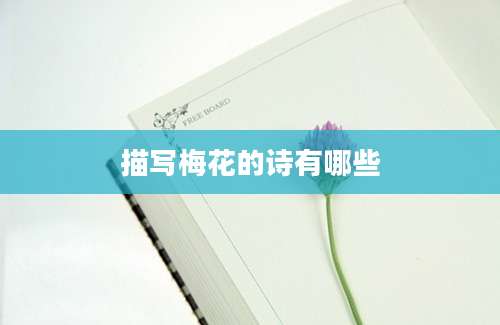 描写梅花的诗有哪些