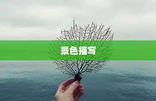 景色描写