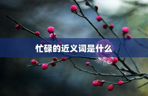忙碌的近义词是什么