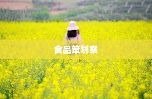 食品策划案