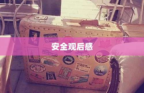 安全观后感