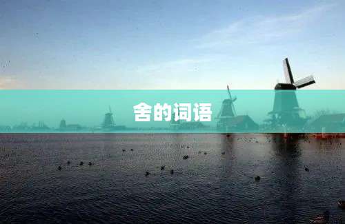 舍的词语