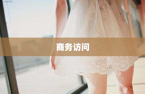 商务访问