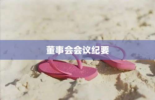 董事会会议纪要