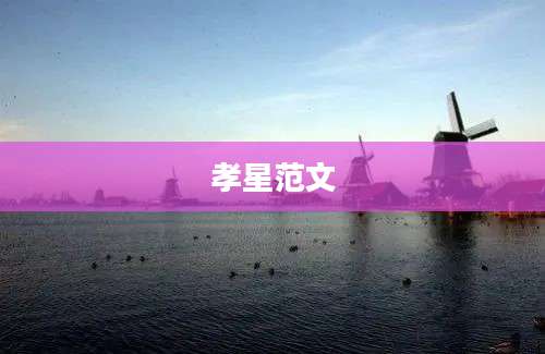 孝星范文