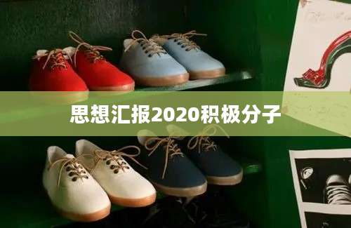 思想汇报2020积极分子