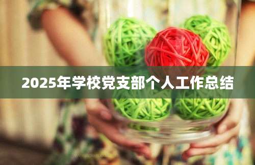 2025年学校党支部个人工作总结