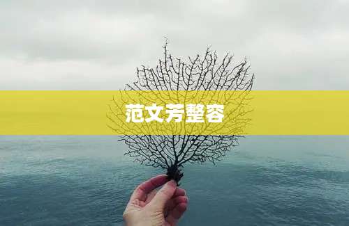 范文芳整容