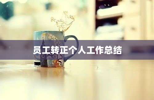 员工转正个人工作总结