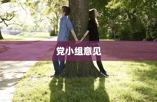 党小组意见