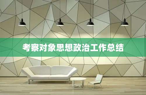 考察对象思想政治工作总结