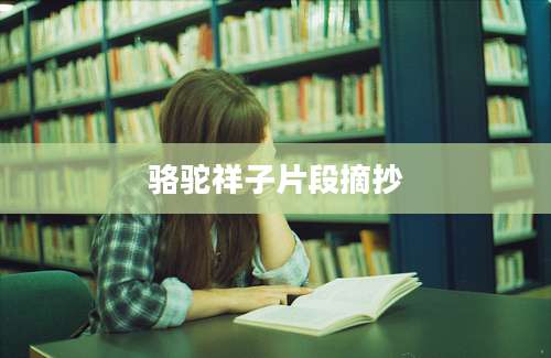 骆驼祥子片段摘抄