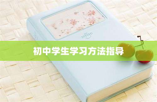 初中学生学习方法指导