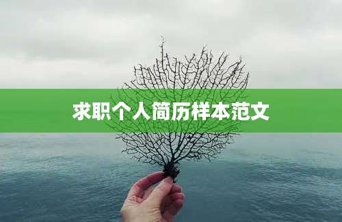 求职个人简历样本范文