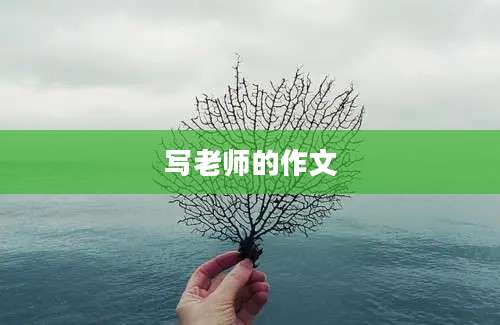 写老师的作文