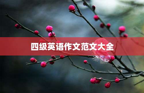 四级英语作文范文大全