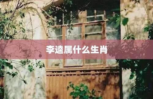 李逵属什么生肖