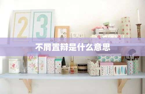 不屑置辩是什么意思