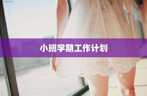 小班学期工作计划
